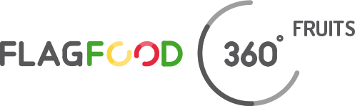 logo flagfood