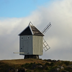 Mühlen & Futtermittelhandel